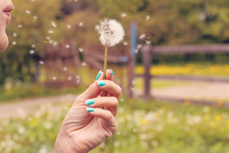 Conseil au comptoir : l’allergie saisonnière aux pollens